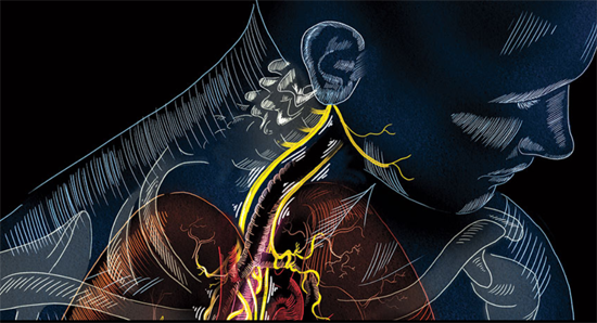 cesultra-ear-nerve