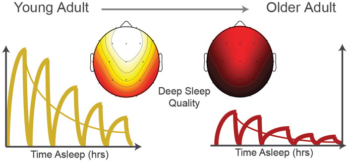 Quantity and Quality of Sleep May Act as Fountain of Youth in Old Age