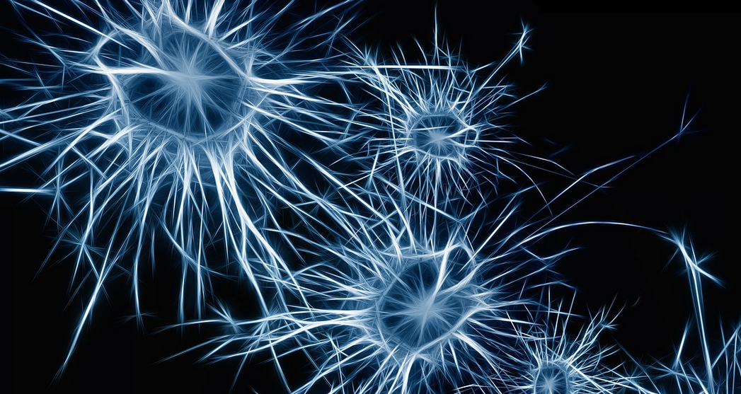 ces-neurons