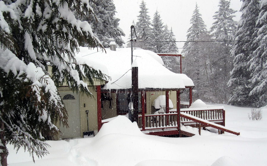 Fresh, Deep Snow Blanketing A Home, Yard And Evergreen Trees