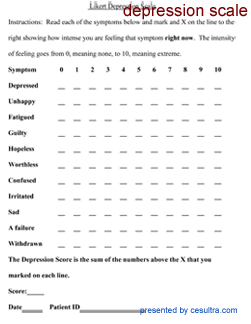 cesultra-LIkert-scales