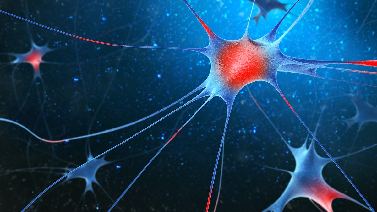 3d render of nerve cells on blue background.